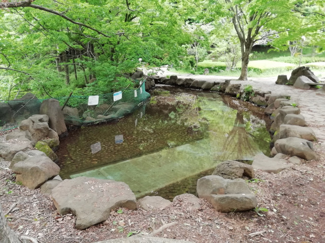 神奈川県立四季の森公園 じゃぶじゃぶ池